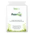PhytoNight Product Image